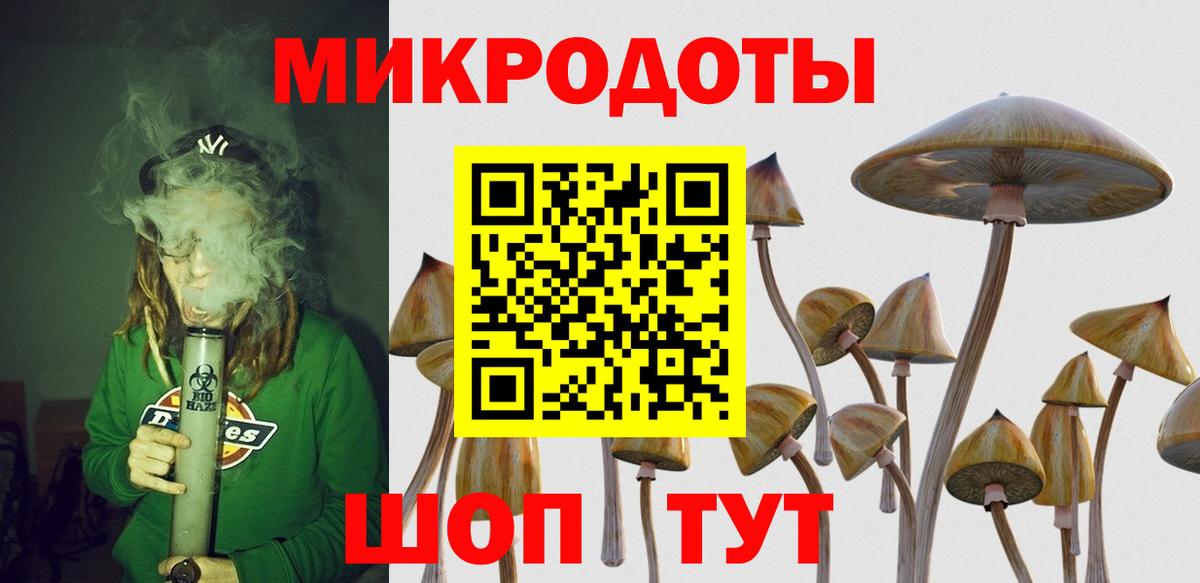 Псилоцибиновые грибы Psilocybe  сколько стоит  Всеволожск  Вход с VPN 